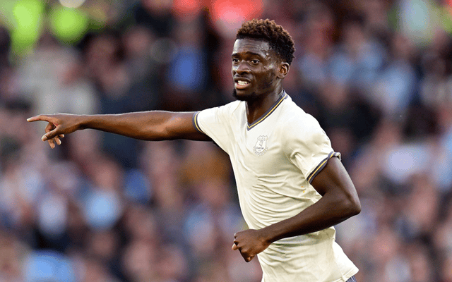 ayx.com-关于埃弗顿主场击败南安普顿，提升保级机会的信息